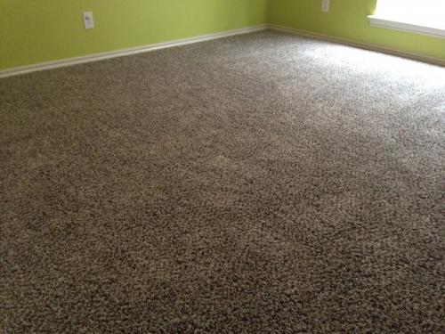 green-bedroom-carpet